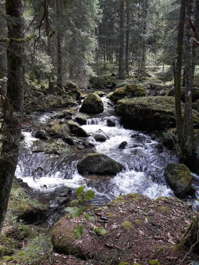 Anno - Die Wohlfuehl - Idylle In Gruenbach_Kirchdorf Kirchdorf im Wald Eksteriør billede
