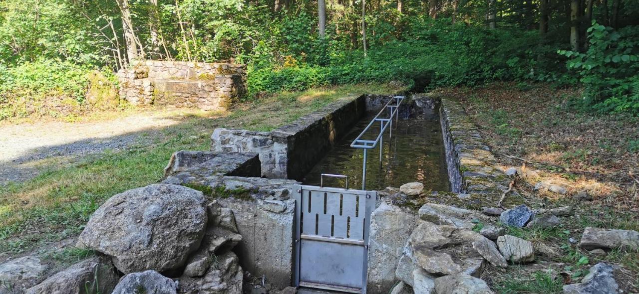 Anno - Die Wohlfuehl - Idylle In Gruenbach_Kirchdorf Kirchdorf im Wald Eksteriør billede
